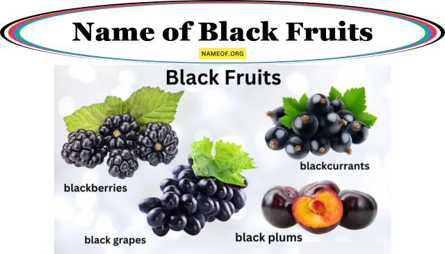 Name of Black Fruits: A Comprehensive Guide Image