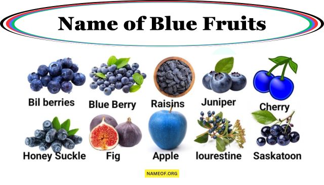 Name of Blue Fruits: A Comprehensive Guide Image