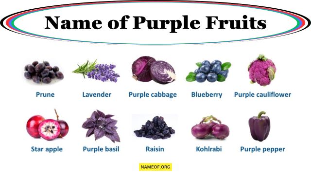 Name of Purple Fruits: A Comprehensive Guide Image