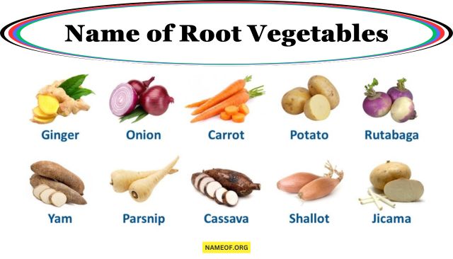 Name of Root Vegetables: A Comprehensive Guide Image