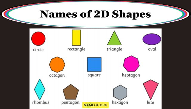 Names of 2D Shapes: A Comprehensive Guide Image