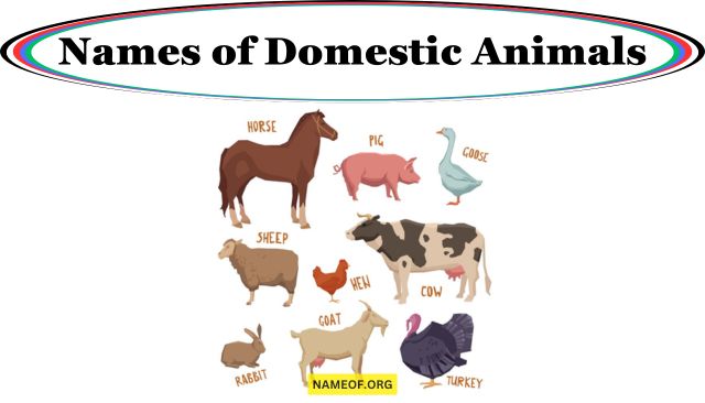 Names of Domestic Animals: A Comprehensive Guide Image