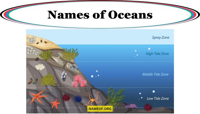 Names of Oceans: A Comprehensive Guide Image