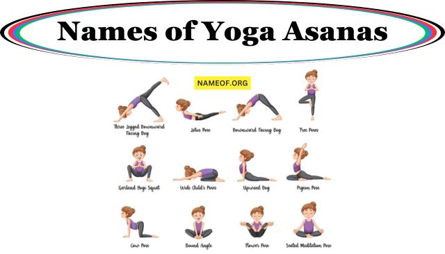 Names of Yoga Asanas: A Comprehensive Guide Image
