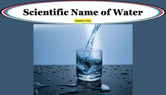 Scientific Name of Water: A Comprehensive Guide Image